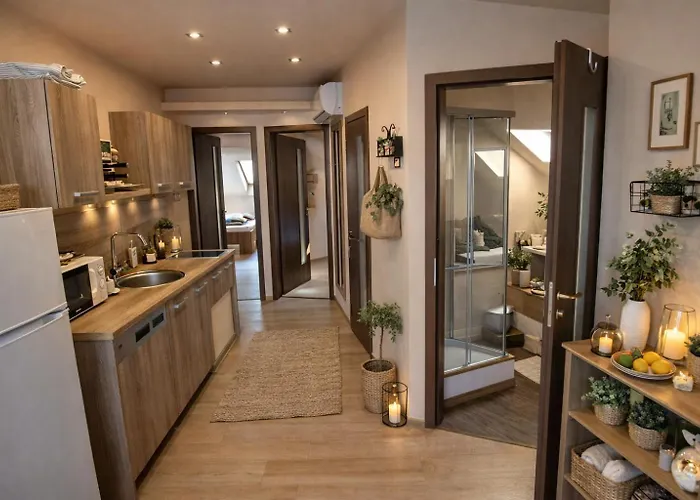 Happy Sun Medences * 希欧福克